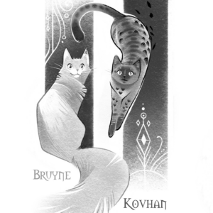 Le Manoir de Castlecatz, illustration de Bruyne et kovhan